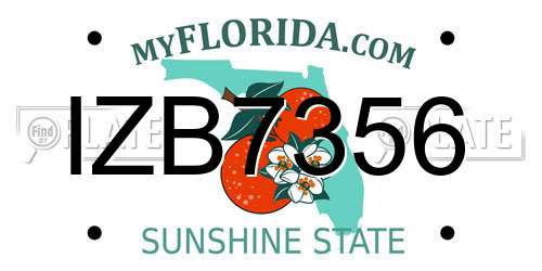 IZB7356 Florida License Plate