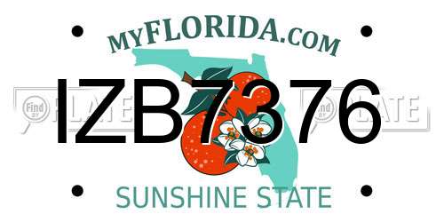 IZB7376 Florida License Plate