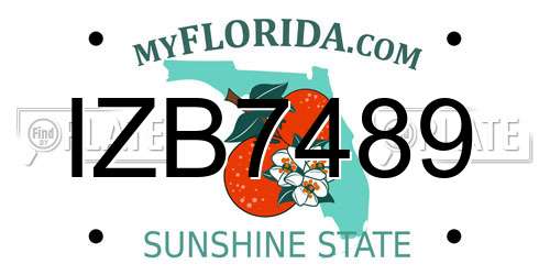 IZB7489 Florida License Plate
