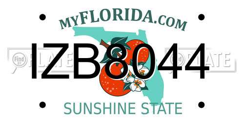 IZB8044 Florida License Plate