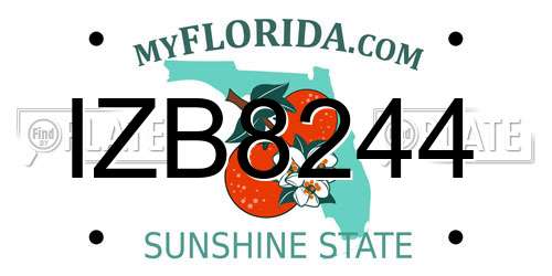 IZB8244 Florida License Plate