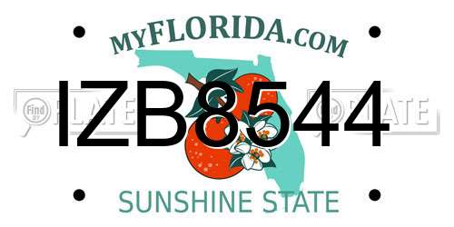 IZB8544 Florida License Plate