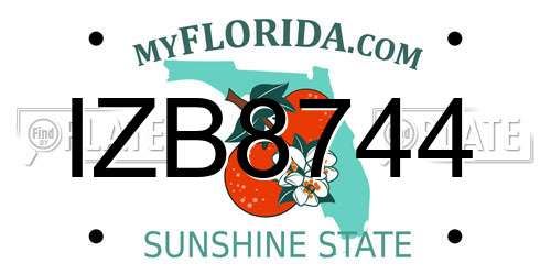 IZB8744 Florida License Plate