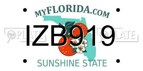 IZB919 Florida License Plate