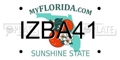 IZBA41 Florida License Plate