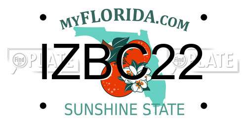 IZBC22 Florida License Plate