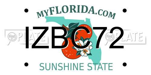 IZBC72 Florida License Plate