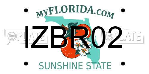 IZBR02 Florida License Plate