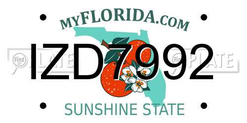 IZD7992 Florida License Plate