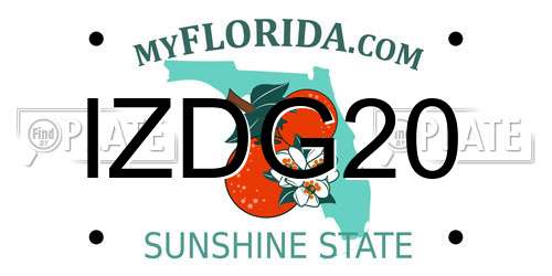 IZDG20 Florida License Plate