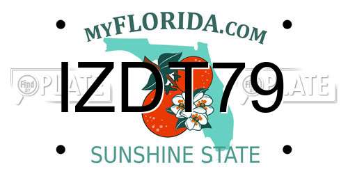 IZDT79 Florida License Plate