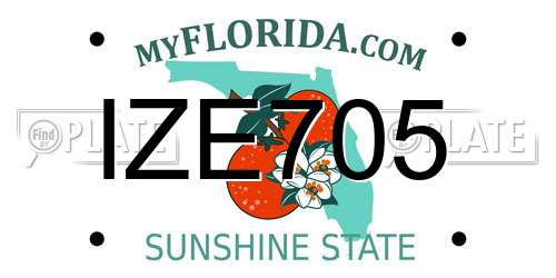 IZE705 Florida License Plate