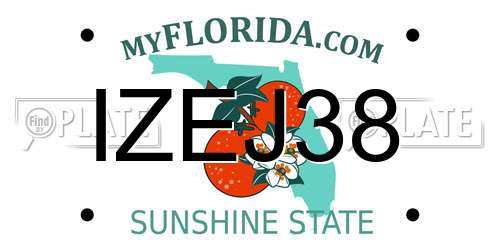IZEJ38 Florida License Plate