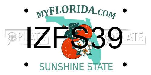 IZFS39 Florida License Plate