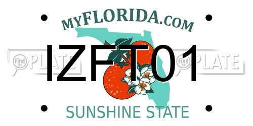 IZFT01 Florida License Plate