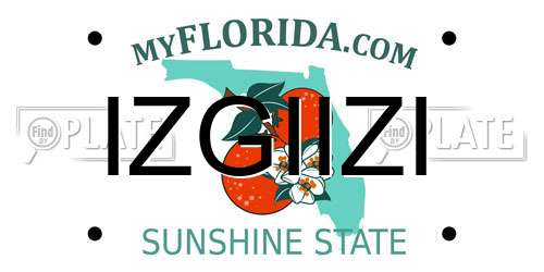 IZGIIZI Florida License Plate
