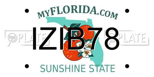 IZIB78 Florida License Plate
