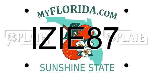 IZIE87 Florida License Plate