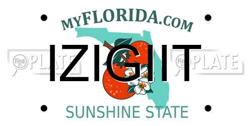 IZIGIIT Florida License Plate