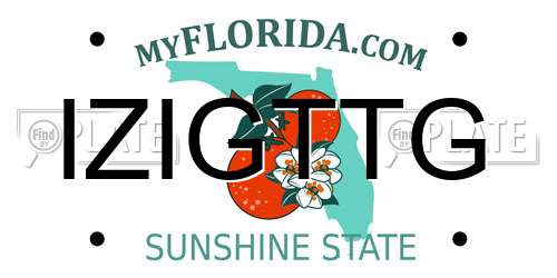 IZIGTTG Florida License Plate