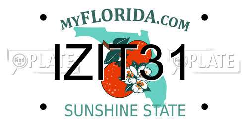 IZIT31 Florida License Plate