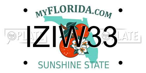 IZIW33 Florida License Plate