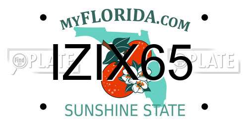 IZIX65 Florida License Plate
