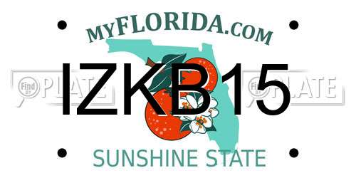 IZKB15 Florida License Plate