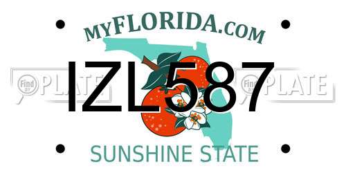 IZL587 Florida License Plate