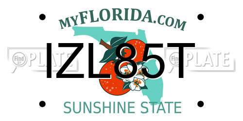 IZL85T Florida License Plate