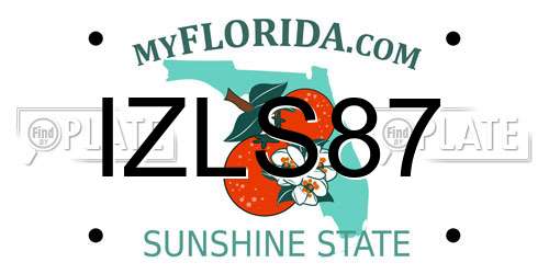 IZLS87 Florida License Plate