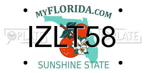 IZLT58 Florida License Plate