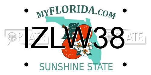 IZLW38 Florida License Plate