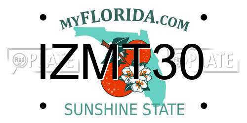 IZMT30 Florida License Plate