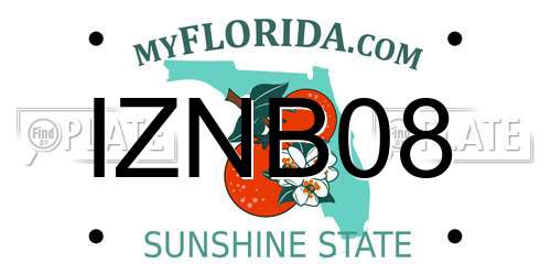 IZNB08 Florida License Plate