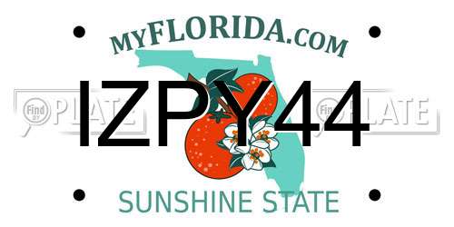 IZPY44 Florida License Plate