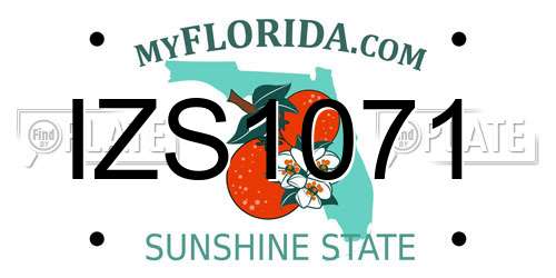 IZS1071 Florida License Plate