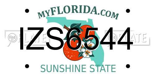 IZS6544 Florida License Plate