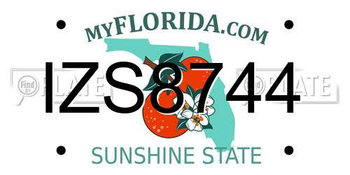 IZS8744 Florida License Plate