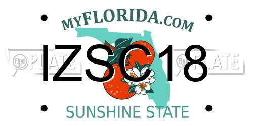 IZSC18 Florida License Plate