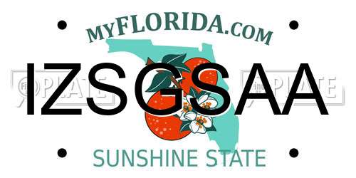IZSGSAA Florida License Plate