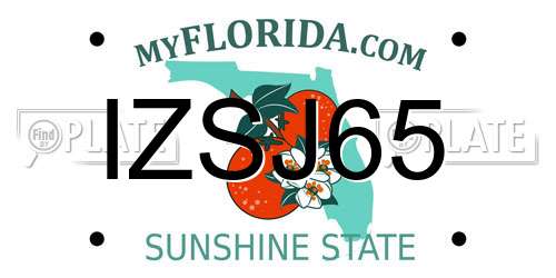 IZSJ65 Florida License Plate