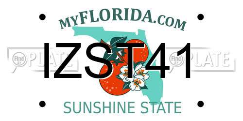 IZST41 Florida License Plate