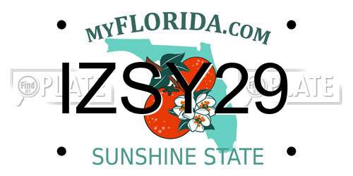 IZSY29 Florida License Plate