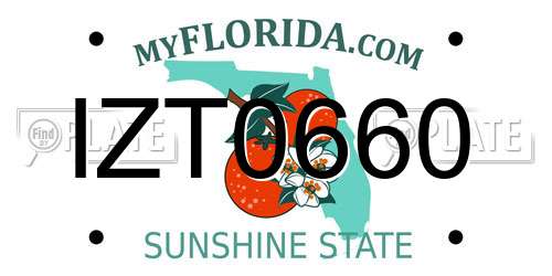 IZT0660 Florida License Plate