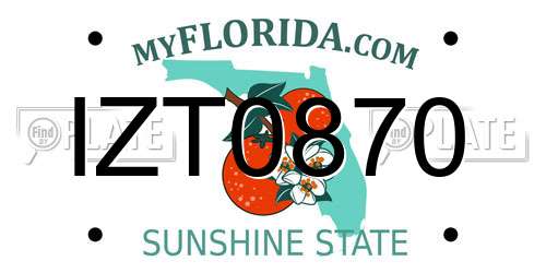 IZT0870 Florida License Plate