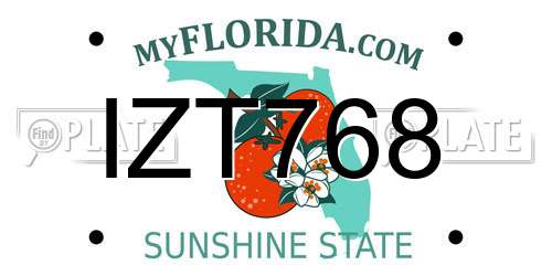IZT768 Florida License Plate