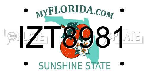 IZT8981 Florida License Plate