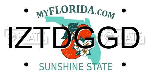 IZTDGGD Florida License Plate