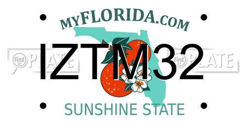 IZTM32 Florida License Plate